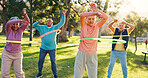 Elderly people, outdoor and exercise with hoop for group workout, wellness class or cardio health. Senior friends, ring or fitness at park, challenge or training for balance with active retirement