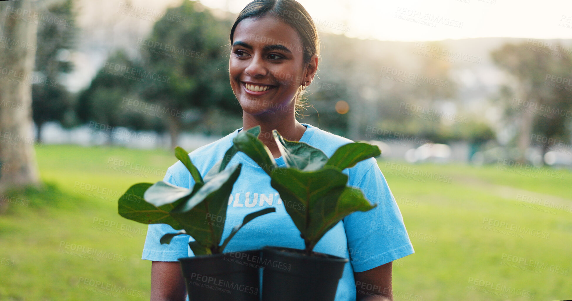 Buy stock photo Volunteer, happy and woman with plants in park for climate change, sustainable project and community service. Outdoor, nonprofit and person with nature for environment, earth day and conservation