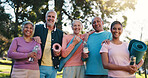 Portrait, personal trainer or senior people in park for workout, fitness training or retirement health. Mobility support, group of old women or men with wellness coach, outdoor exercise or solidarity