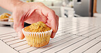 Baking, hand and muffin in kitchen with poppyseed, sweet treat and homemade snack preparation. Person, gluten free cupcake or baked goods in home for dessert, recipe and cool down for breakfast food.