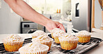 Person, hands or baker with cupcakes in kitchen for sweet dessert recipe or pastry creation in home. Chef, baked and muffin with icing, topping or tray for hospitality, treat or cake serving in house