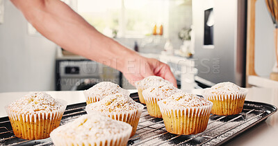 Buy stock photo Person, hands or baker with cupcakes in kitchen for sweet dessert recipe or pastry creation in home. Chef, baked and muffin with powdered sugar or topping for hospitality or cake serving in house