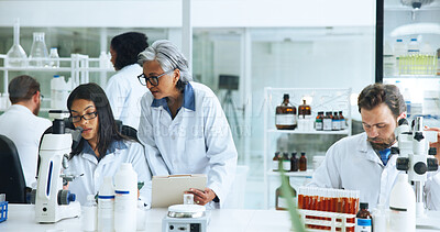 Buy stock photo Coworking, science or people with microscope in lab, blood sample analysis or experiment for pathology. Medical research, study reaction or scientist team with report file, trial or test feedback