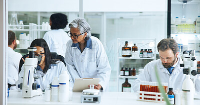 Buy stock photo Analysis, science or people with microscope in lab, blood sample trial or experiment for pathology. Medical research, study chemical reaction or scientist with project file, coworking or test results