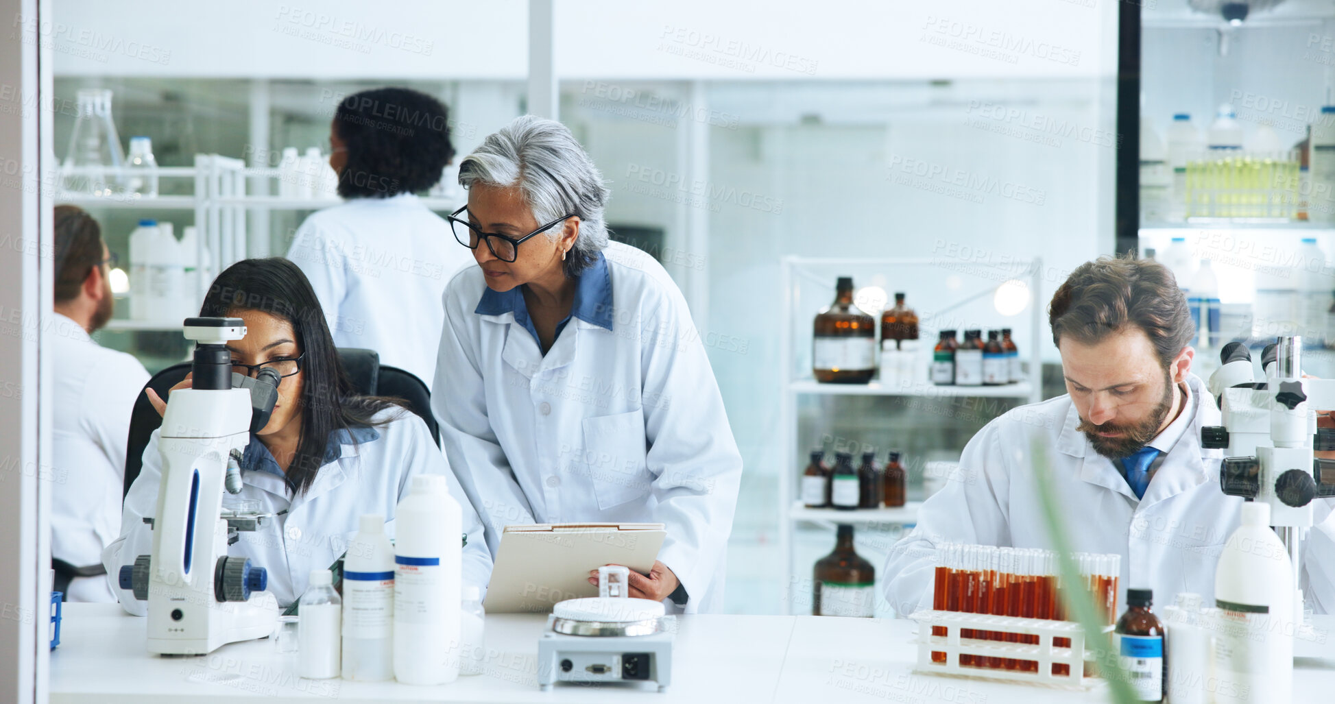 Buy stock photo Analysis, science or people with microscope in lab, blood sample trial or experiment for pathology. Medical research, study chemical reaction or scientist with project file, coworking or test results