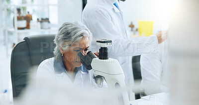 Buy stock photo Science, medical research and woman in lab, microscope and pharmaceutical study. Mature person, employee and scientist in workplace, equipment and vaccine development with bacteria and genetics test