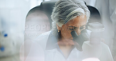 Buy stock photo Science, medical research and woman with microscope, vaccine development and pharmaceutical study. Mature person, forensics test and scientist in lab, equipment and bio chemistry with technology