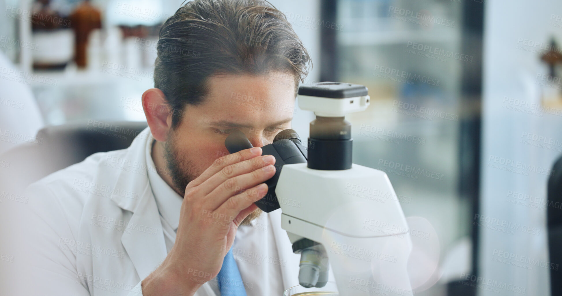 Buy stock photo Science, medical research and man in workplace, microscope and sample analysis. Person, genetics test and scientist in lab, equipment or vaccine development with particles, DNA experiment or solution