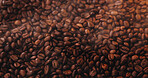 Coffee production, roast and beans for caffeine, espresso beverage and blend for cappuccino. Background, cafeteria and closeup of granules for latte, mocha brew and organic grain for hospitality