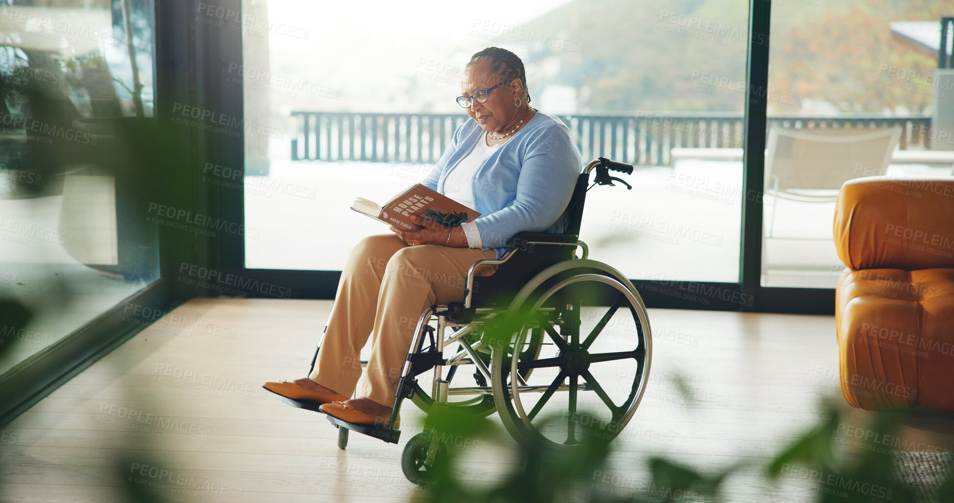 Buy stock photo Senior woman, wheelchair and reading with book in retirement for assisted living or healthcare. Elderly, novel or female person with a disability for story, house or plants in nursery or old age home