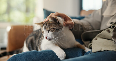 Buy stock photo Hand, closeup and man on sofa with cat, fur rub and animal bonding on weekend break. Comfort, relax and male person in house with stroke, kitten best friend and pet affection on Sunday rest.
