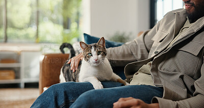 Buy stock photo Hand, portrait and man on sofa with cat, fur rub and animal bonding on weekend break. Comfort, relax and male person in house with stroke, kitten best friend and pet affection on Sunday rest.