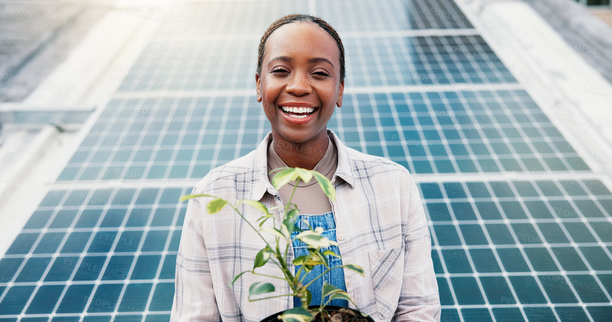 Buy stock photo Portrait, black woman outdoor or solar panel with plant for agro business, farming or eco project. Person, farmer and smile with photovoltaic system for sustainability, agriculture or natural growth.