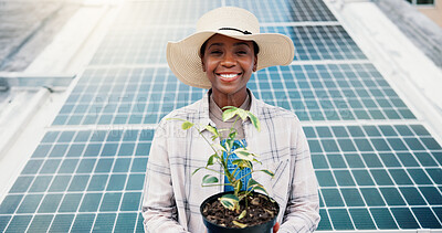 Buy stock photo Portrait, woman outdoor or solar panel with plant for clean energy, sustainability or farming project. Black person, farmer or photovoltaic system for carbon footprint, agriculture or natural growth.