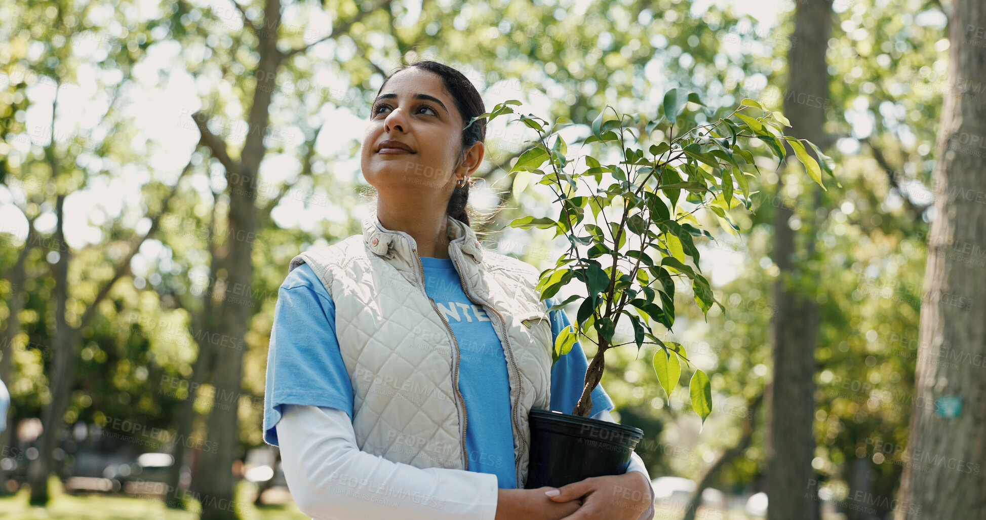 Buy stock photo Think, volunteer or woman with plant for nature restoration project, gardening or green initiative. Environment reflection, sustainable ideas or eco advocate with tree for climate action, park or ngo