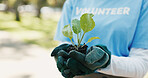 Fertilizer, plant and hands of volunteer in nature for sustainability community service. Non profit, outdoor and ngo worker with soil for leaf growth with charity event at park for earth day.