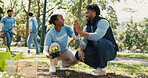 People, volunteer and high five with plant outdoor for gardening success of community service. Smile, man and woman with teamwork for earth day, reforestation and celebration for sustainable project