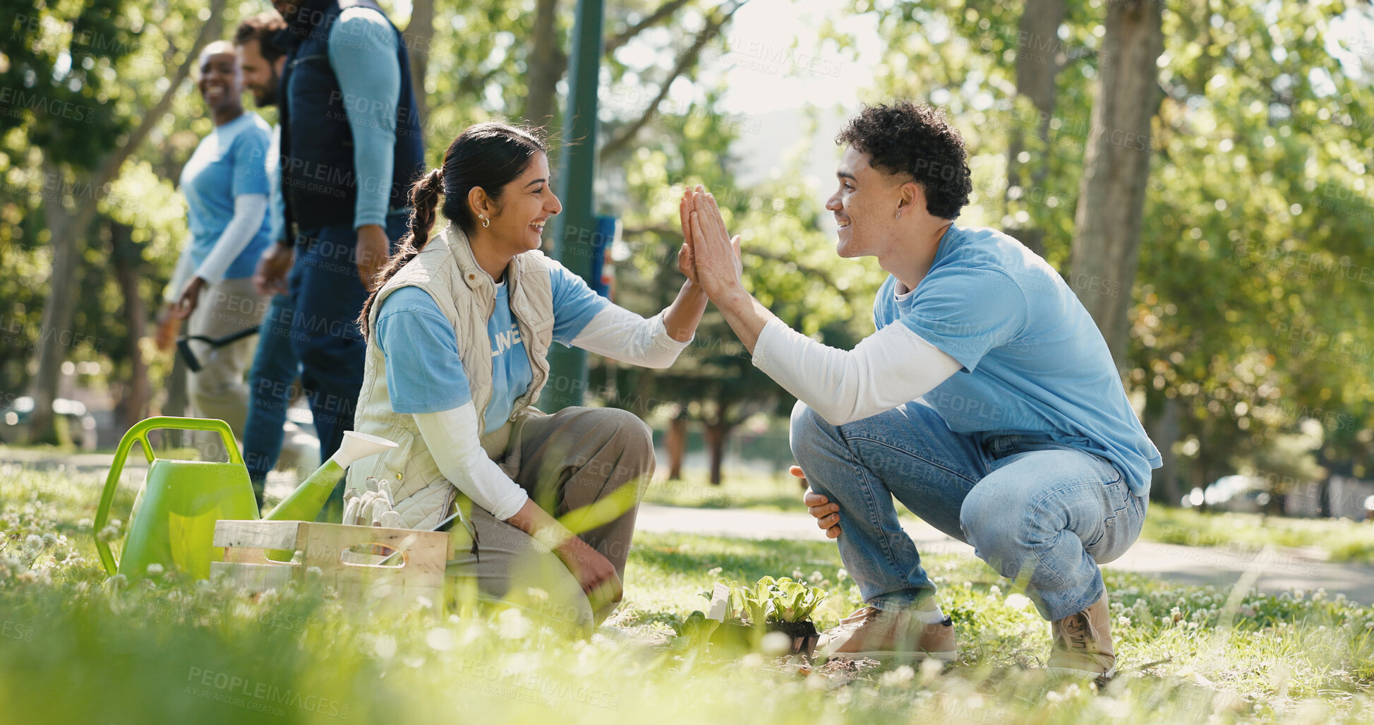 Buy stock photo People, volunteer and high five with plant at park for gardening success of community service. Smile, man and woman with teamwork for earth day, reforestation and celebration for sustainable project