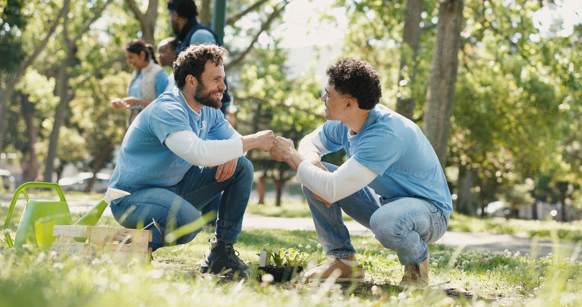 Buy stock photo People, volunteer and fist bump with plant outdoor for gardening success of community service. Smile, men and teamwork with support for earth day, reforestation and celebration of sustainable project