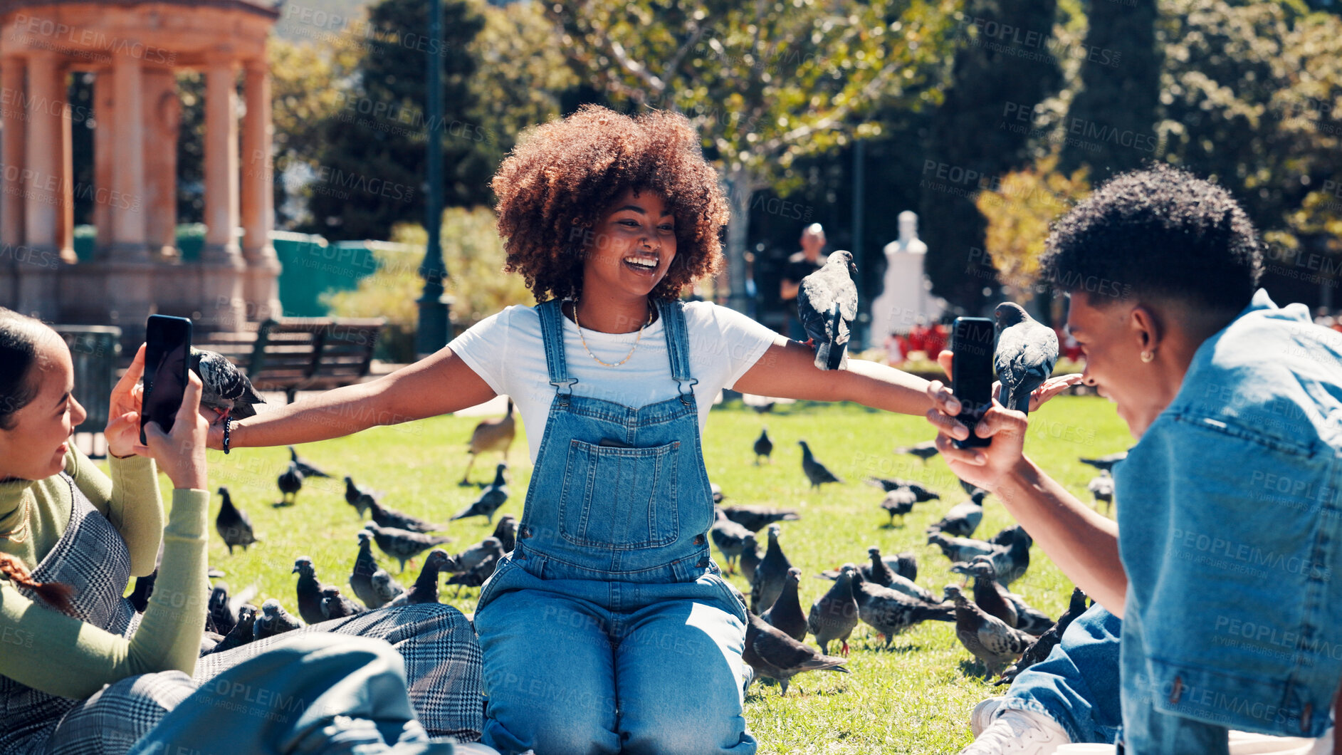 Buy stock photo Phone, photograph and pigeons on woman at campus for education, magic moment or memories. App, birds and profile picture with happy student outdoor at college or university for social media post