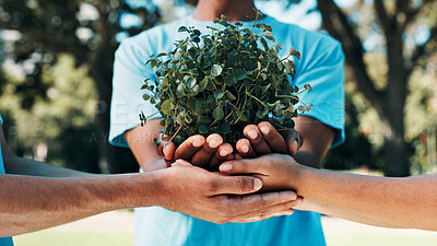 Buy stock photo Volunteer, people or hands with plant for nature restoration project, eco advocate or green initiative. Responsibility, sustainable environment or team with support for climate action, outdoor or ngo