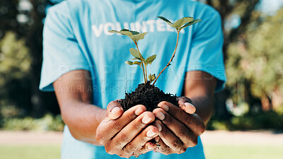 Buy stock photo Volunteer, park or hands with plant for nature restoration project, eco advocate or green initiative. Responsibility, sustainable environment or person with sapling for climate action, outdoor or ngo