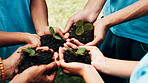 Volunteer, outdoor or hands of people with plants, nature restoration project or green initiative advocate. Gardening, social responsibility or team with sapling for environment support, ngo or hope