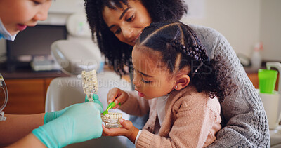 Buy stock photo Brushing teeth, consulting or demonstration with dentist, girl and mother in clinic for example. Checkup, dental or mouth model with people in optometry office for advice, appointment or learning