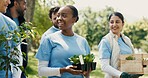 Park, volunteering or group with plants for nature restoration project, eco advocate or gardening initiative. Teamwork, sustainable environment or people with trees for climate action, outdoor or ngo