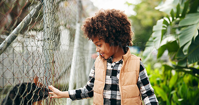 Buy stock photo Happy, child and smile with animal at shelter for adoption service, homeless dogs and rescue centre. Love, boy and touch puppy by fence for bonding, foster care and pet welfare or charity ngo support