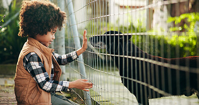 Buy stock photo Animal shelter, fence and child with dog outdoor for adoption, foster care and bonding. Kennel, sanctuary and kid with canine for rescue, pet ownership and companion at charity, ngo and volunteer