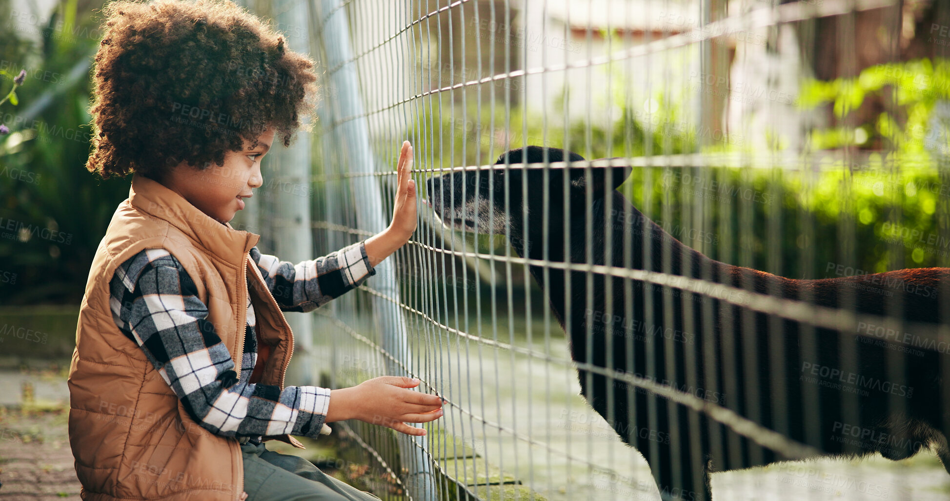 Buy stock photo Animal shelter, fence and child with dog outdoor for adoption, foster care and bonding. Kennel, sanctuary and kid with canine for rescue, pet ownership and companion at charity, ngo and volunteer