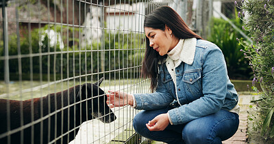 Buy stock photo Woman, dog and care at shelter for animal adoption with bonding, kindness and companion search. Happy, female person and touch puppy at pet rescue for volunteer service, charity ngo or canine foster.