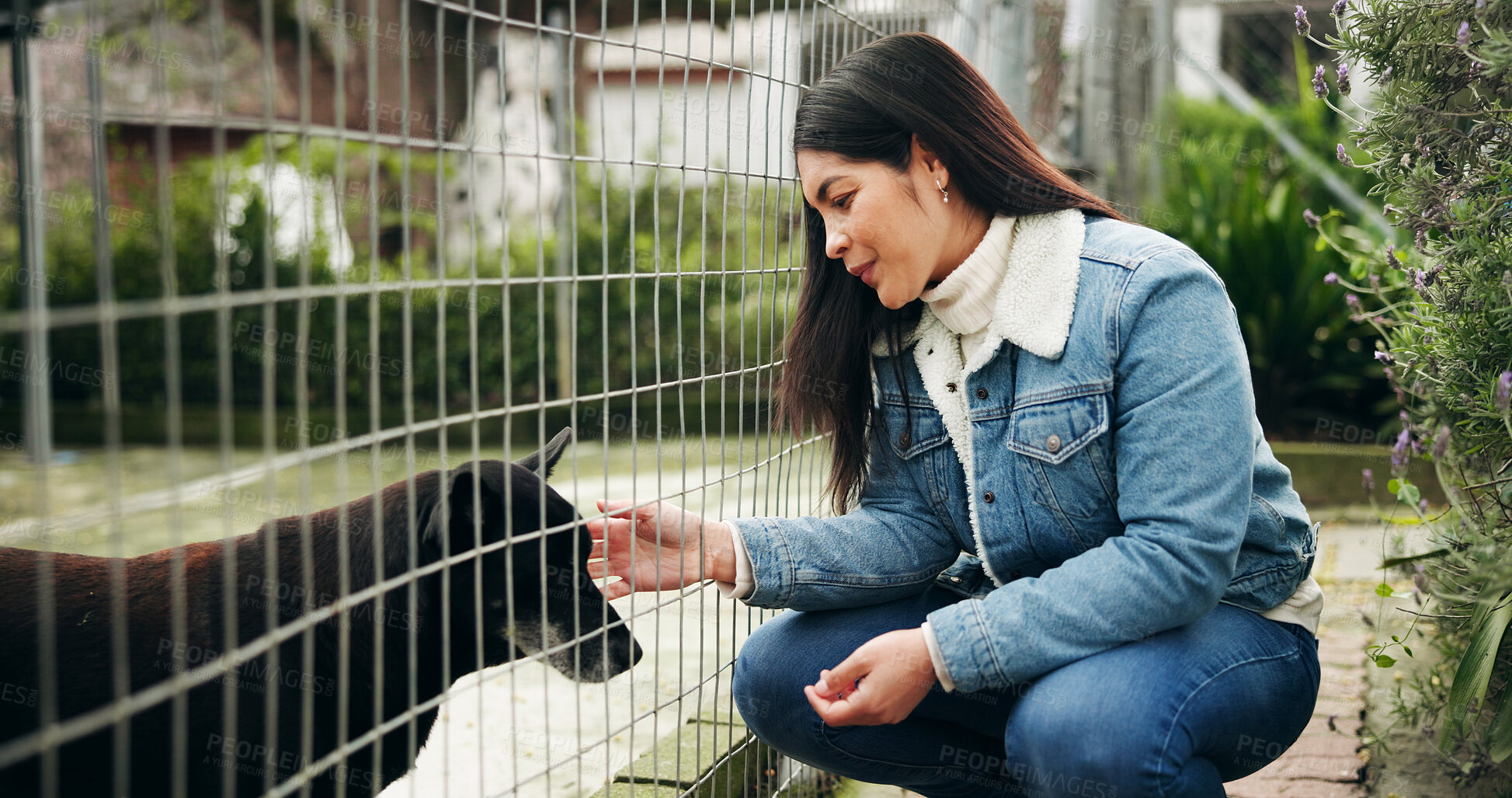 Buy stock photo Woman, dog and care at shelter for animal adoption with bonding, kindness and companion search. Happy, female person and touch puppy at pet rescue for volunteer service, charity ngo or canine foster.