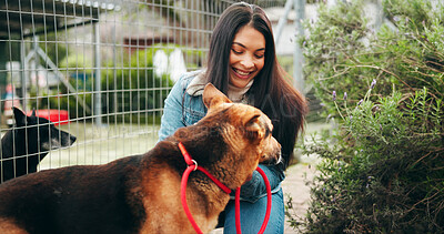 Buy stock photo Happy, woman and smile with dog at shelter for adoption service, homeless animal and rescue centre. Love, girl and puppy by fence for bonding, foster care and pet welfare or charity ngo support