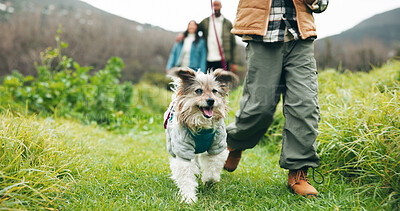Buy stock photo Dog, leash and legs in nature with walk, animal care or bonding together in outdoor activity. Pet owner, space and people in forest with energy, connection and stroll with puppy companion.