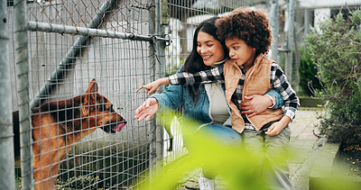 Buy stock photo Mother, child or smile at shelter with dog for pet adoption, bonding or companion search by fence. Happy, mom and boy outdoor with hug for domestic animal welfare, volunteer service or canine foster.