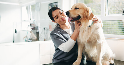 Buy stock photo Tablet, woman vet or dog with consultation for health exam, medical service or pet care appointment. Support, friendly or animal doctor with labrador for check up, wellness assessment or clinic visit