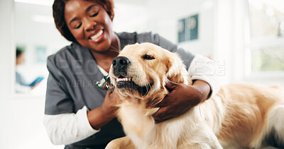 Buy stock photo Veterinary, dog and woman in clinic, smile and appointment with healthcare, checkup and wellness. Person, inspection and professional at animal shelter, trust and consultation with golden retriever