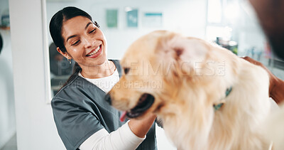 Buy stock photo Client, woman vet and dog with consultation for health exam, medical service or pet care appointment. Support,  happy animal doctor or person with labrador for check up, wellness assessment or clinic