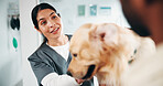 Veterinary, dog or woman in center with advice, pet care or inspection in medical visit. Health, tips and animal doctor in clinic with puppy, golden retriever or trust in physical consultation.