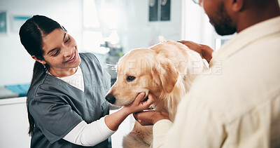 Buy stock photo Man, woman vet and dog with consultation for health exam, medical service and pet care appointment. Support, animal doctor and client with labrador for check up, wellness assessment and clinic visit
