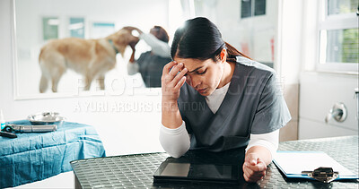 Buy stock photo Veterinarian, headache and woman with pain, stress and overworked with pressure. Person, professional and doctor in clinic, migraine and tension with burnout, overwhelmed and anxiety with bad news