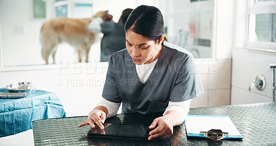 Buy stock photo Veterinarian, tablet and woman in clinic, internet and report with healthcare, wellness and typing. Person, employee or professional at animal shelter, tech and checklist with review, app or process