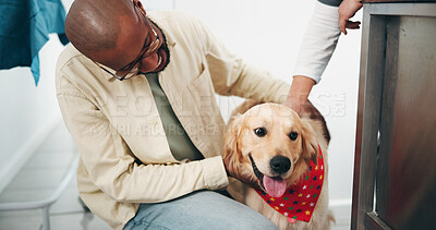 Buy stock photo Dog, owner and appointment with doctor at vet, help and healthcare visit with medical diagnosis. Professional, person or pet patient in clinic, animal shelter or checkup with examination or treatment