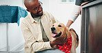 Vet, happy and man with dog in clinic for for animal care, grooming and medical checkup. Veterinarian, shelter and owner with Golden Retriever for examination, wellness and assessment for health