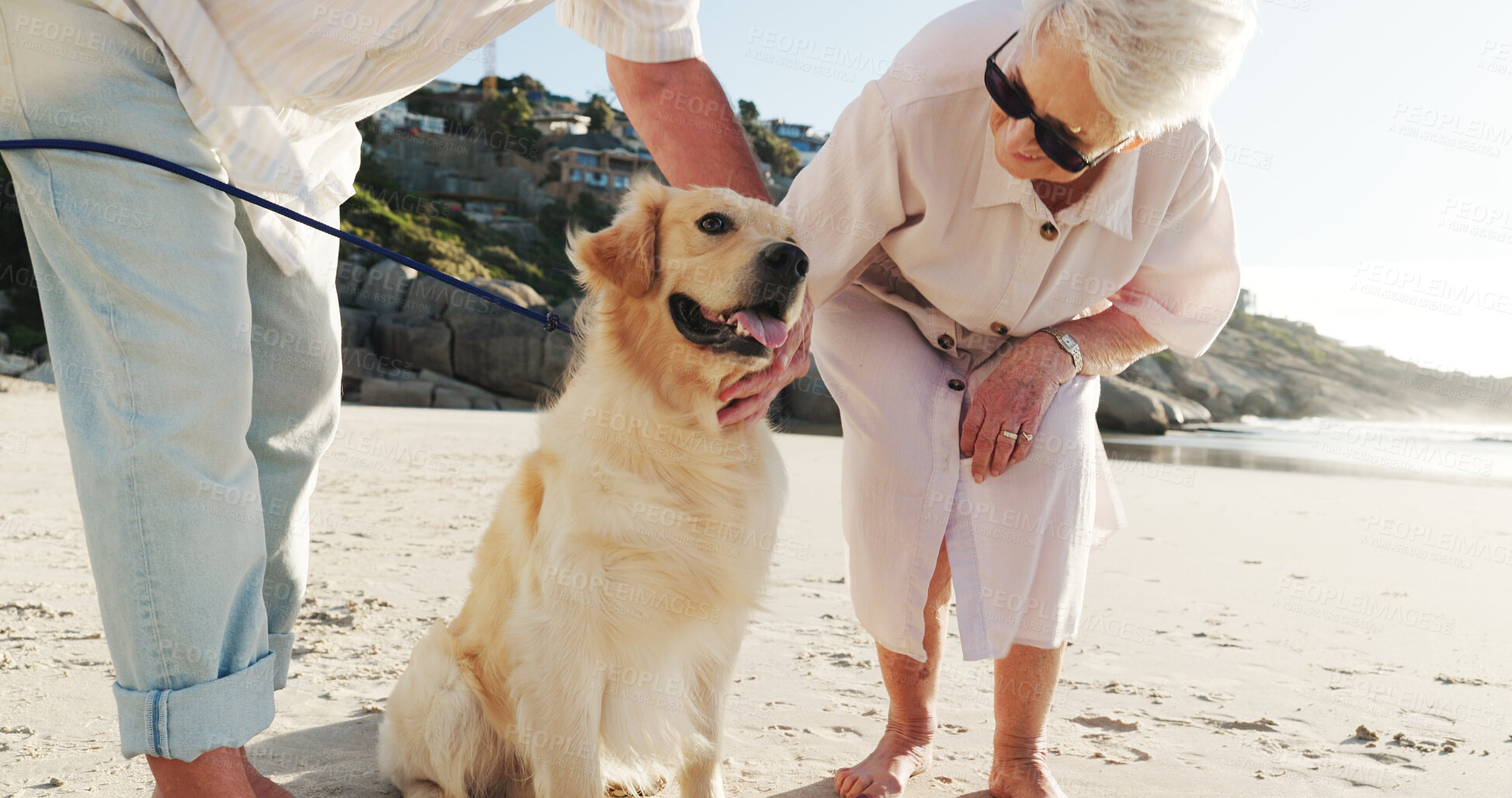 Buy stock photo Beach, pet and senior couple with dog for walking, adventure and bonding on weekend. Marriage, retirement and elderly man and woman with Golden Retriever by ocean for travel, wellness and health