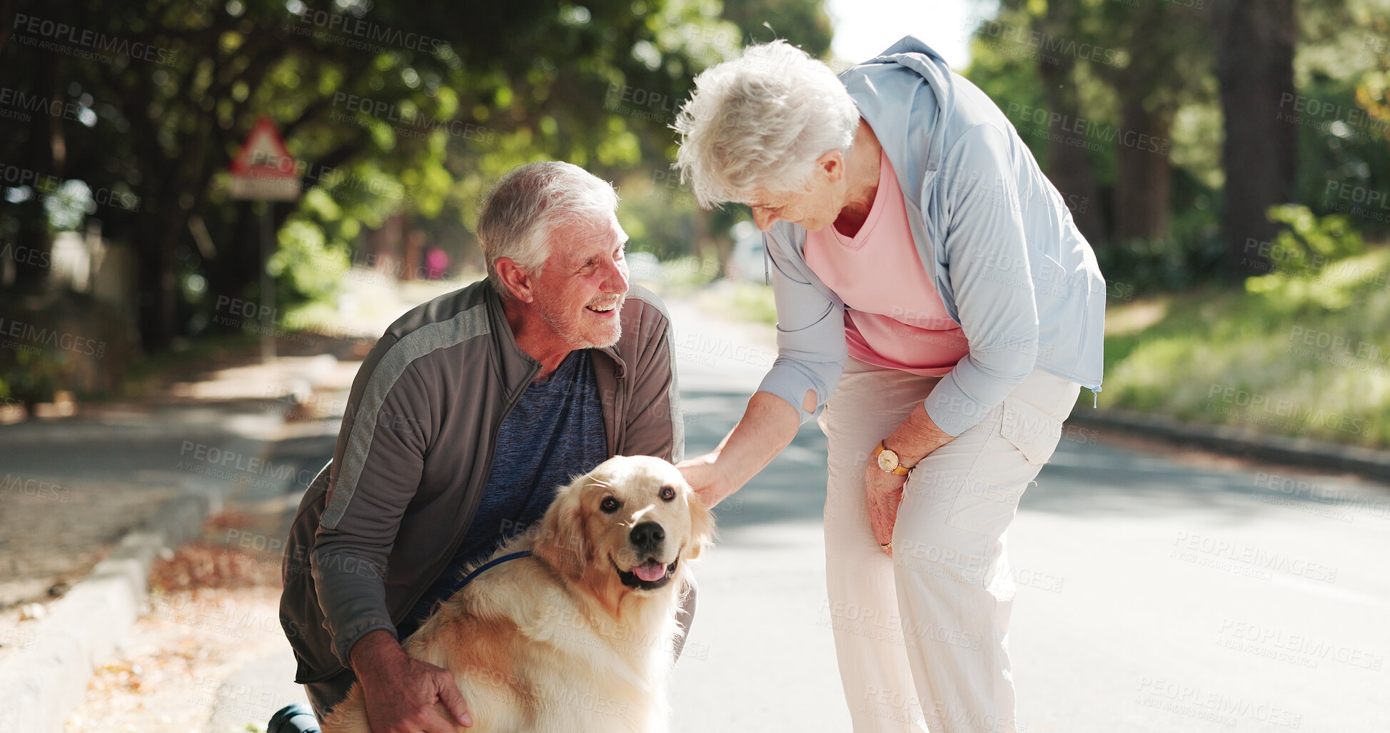 Buy stock photo Happy, park and old couple with dog for fresh air, walking and exercise together for animal care. Retirement, love and elderly people with Golden Retriever outdoor for wellness, health and bonding