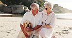 Beach, laugh and senior couple with dog for love, adventure and bonding on weekend. Marriage, retirement and elderly man and woman with Golden Retriever by ocean for exercise, wellness and health