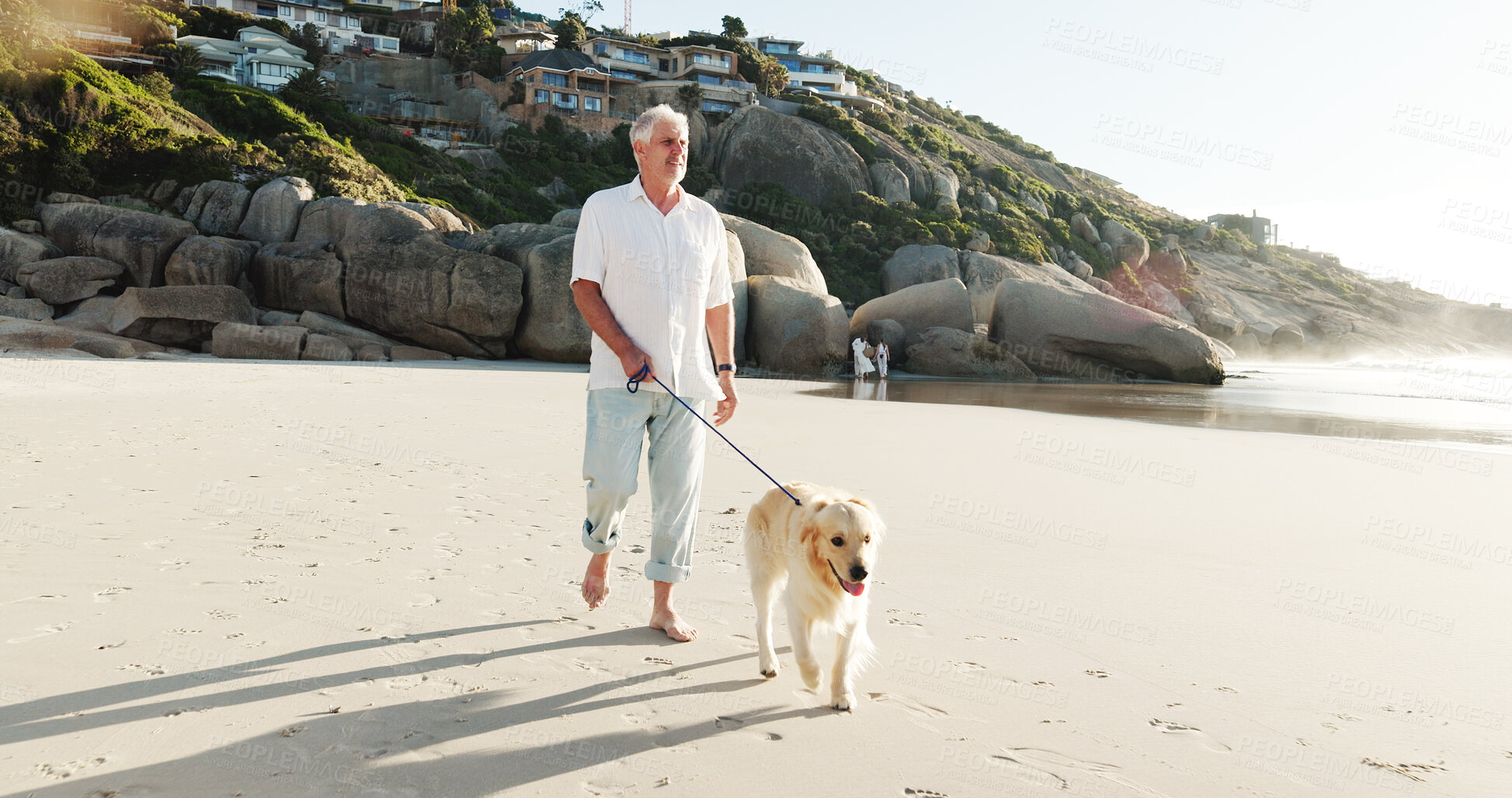 Buy stock photo Beach, walking and senior man with dog for fresh air, adventure and bonding on weekend. Morning, retirement and elderly person with Golden Retriever by ocean for exercise, wellness and health
